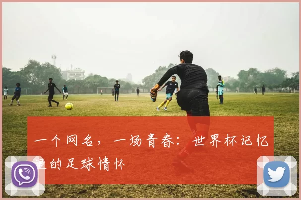 一个网名,一场青春:世界杯记忆里的足球情怀