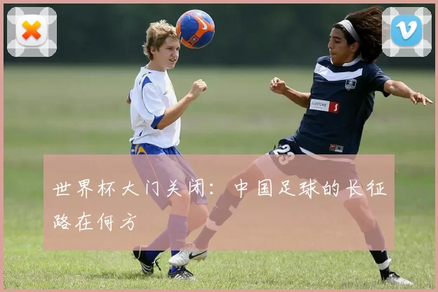世界杯大门关闭:中国足球的长征路在何方