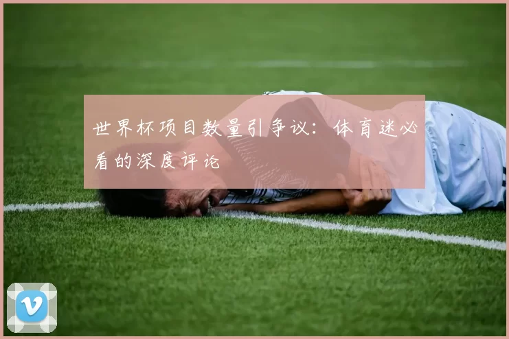 世界杯项目数量引争议:体育迷必看的深度评论