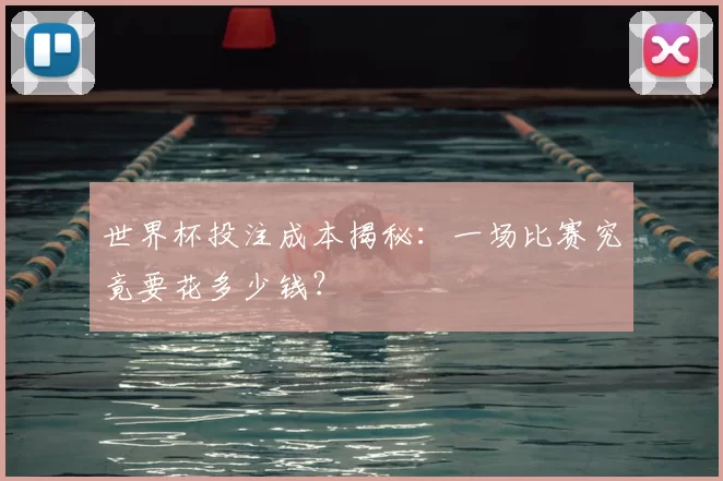 世界杯投注成本揭秘:一场比赛究竟要花多少钱?