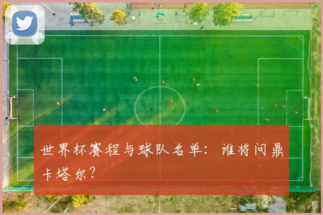 世界杯赛程与球队名单:谁将问鼎卡塔尔?
