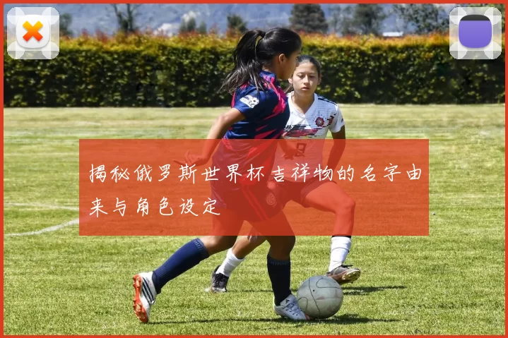 揭秘俄罗斯世界杯吉祥物的名字由来与角色设定