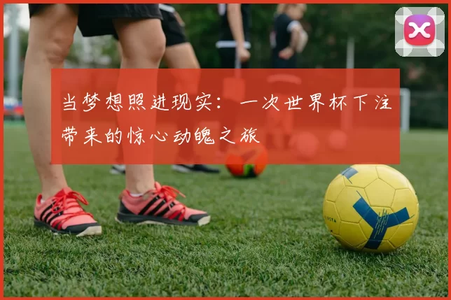 当梦想照进现实：一次世界杯下注带来的惊心动魄之旅