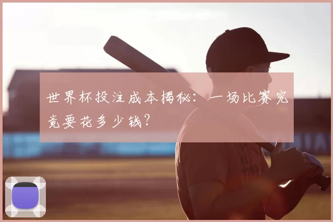 世界杯投注成本揭秘:一场比赛究竟要花多少钱?