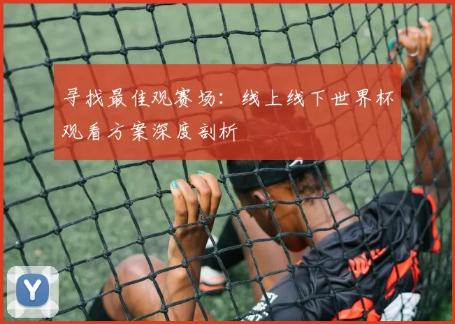 寻找最佳观赛场:线上线下世界杯观看方案深度剖析