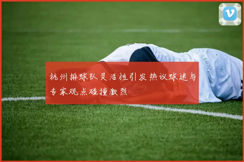 杭州排球队灵活性引发热议球迷与专家观点碰撞激烈