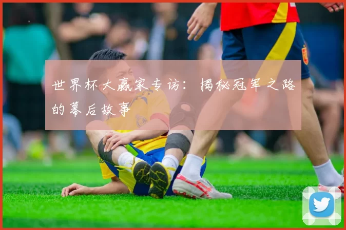 世界杯大赢家专访:揭秘冠军之路的幕后故事