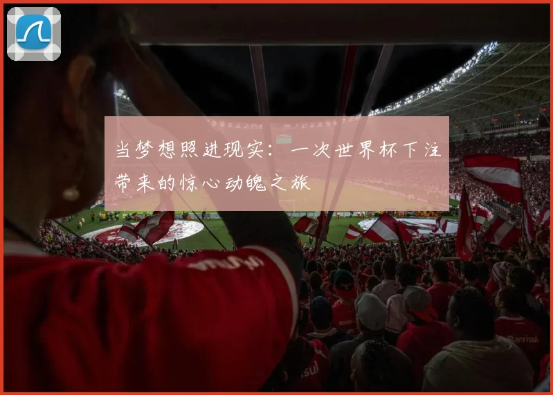 当梦想照进现实：一次世界杯下注带来的惊心动魄之旅