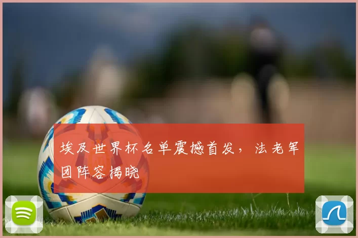 埃及世界杯名单震撼首发,法老军团阵容揭晓